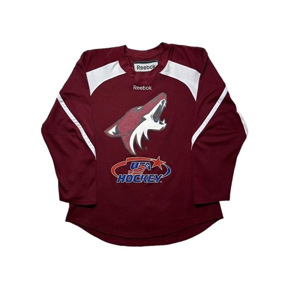 Y2K Arizona Coyotes Howler Jersey - Picture 1 of 4